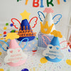 Bowknot Cone Happy Birthday Felt Hat